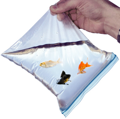 3mil Zip Style Leakproof Bag-Item