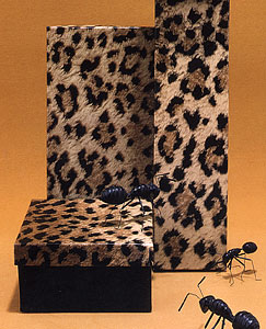 Leopard Print 2 Piece Set-Up Fiber Filled Jewelry Box-Item