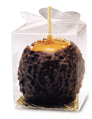 Apple Plastic Box-Item