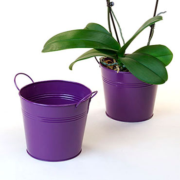 6 1/2in. Purple Painted Pail w/Side Handles