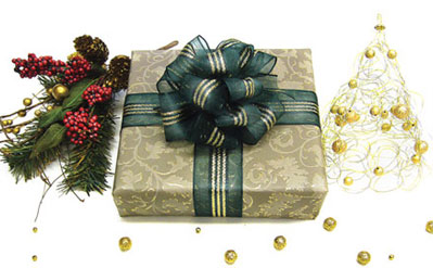 Sheer Festive Wire Edge  Ribbon