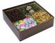 Pretzel-Nut-Boxes-with-Clear-Lids-Collection