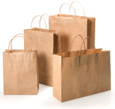 Brown Kraft Paper Bags with Twisted Paper Handle-Item