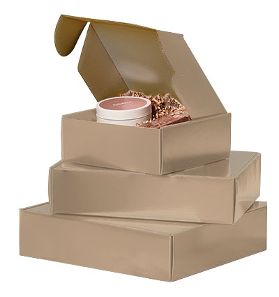 Kraft Presentation Mailers Corrugated Mailer Boxes-Item
