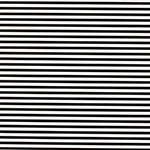 Black White Stripe