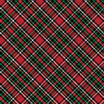 Red Gold Holographic Plaid