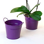 6 1/2in. Purple Painted Pail w/Side Handles