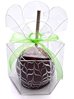 Plastic Hex Flower Top Apple Box