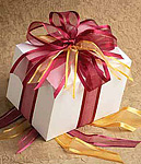 Margarita Gilded Sheer Edge Ribbon