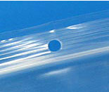 2 mil Top Seal Bag with Hang Hole