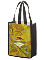 Custom 8x4x10 Dye Sub Full Color NonWoven PET Bags