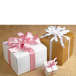 Wired Taffeta Ribbon