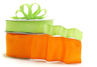 Wired Taffeta Ribbon